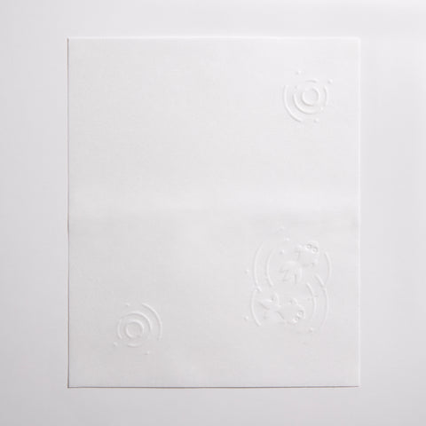 Kaishi Paper