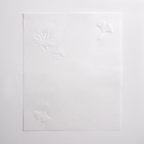 Kaishi Paper