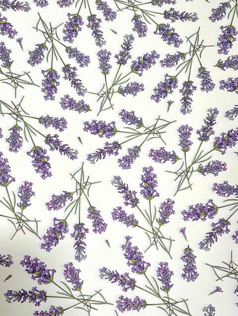 Rossi Italian Decorative Paper Series