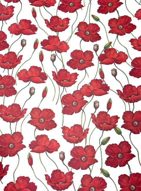 Rossi Italian Decorative Paper Series