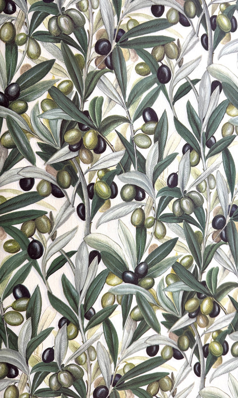 Rossi Italian Decorative Paper Series