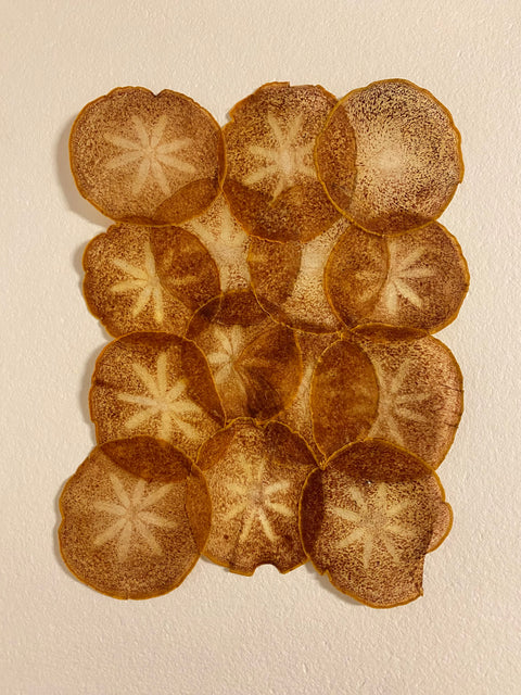 VF Papyrus - Persimmon (Light)