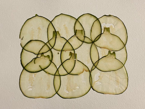 VF Papyrus - Zucchini (Round)