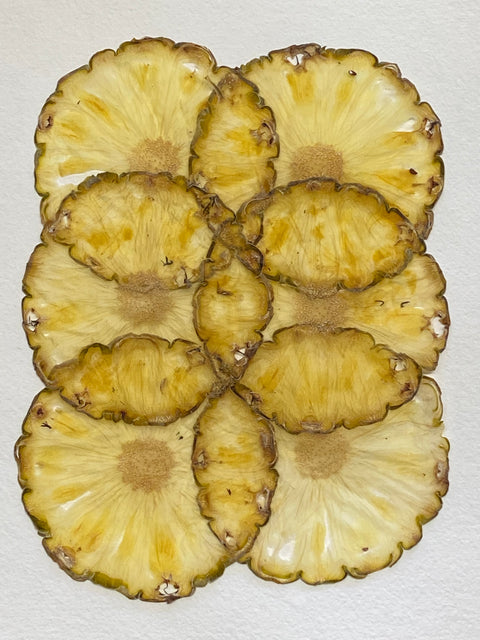 VF Papyrus - Pineapple (Unpeeled)