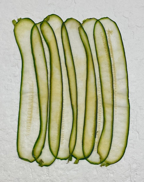 VF Papyrus - Zucchini