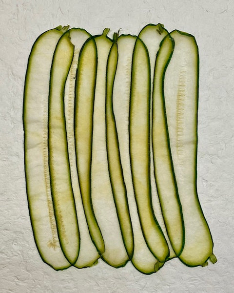 VF Papyrus - Zucchini