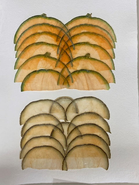 VF Papyrus - Cantaloupe