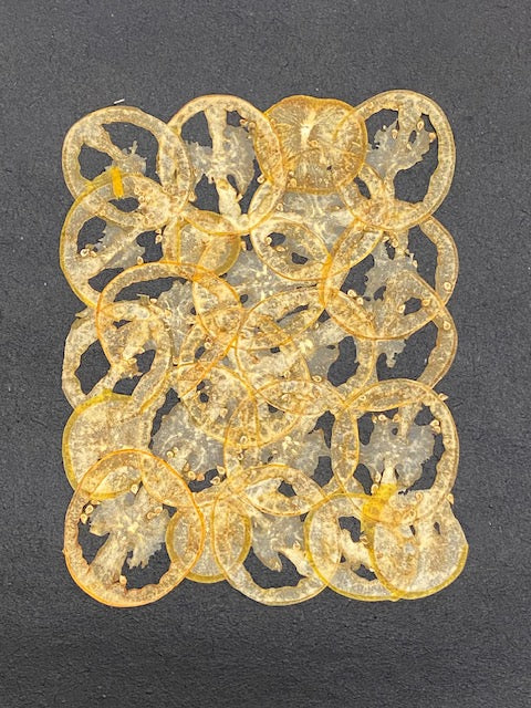 VF Papyrus - Tomato