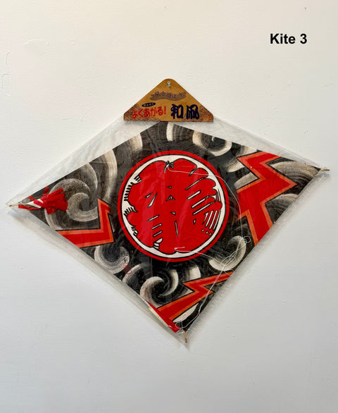 Japanese Kites