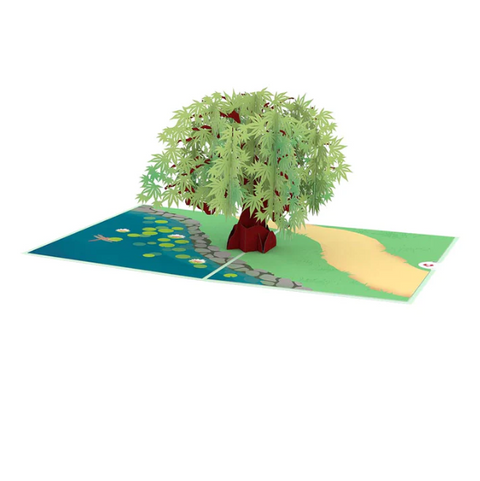 Lovepop Pop-up Card: Green Maple Tree