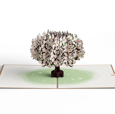 Lovepop Pop-up Card: Pink Magnolia Tree