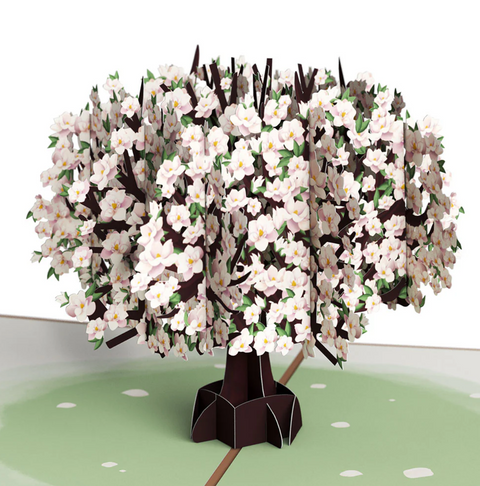 Lovepop Pop-up Card: Pink Magnolia Tree