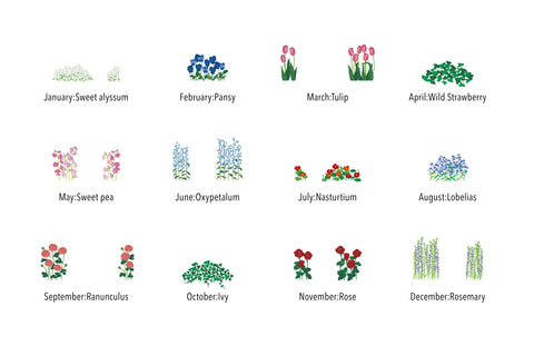 2024 Bloom Calendar