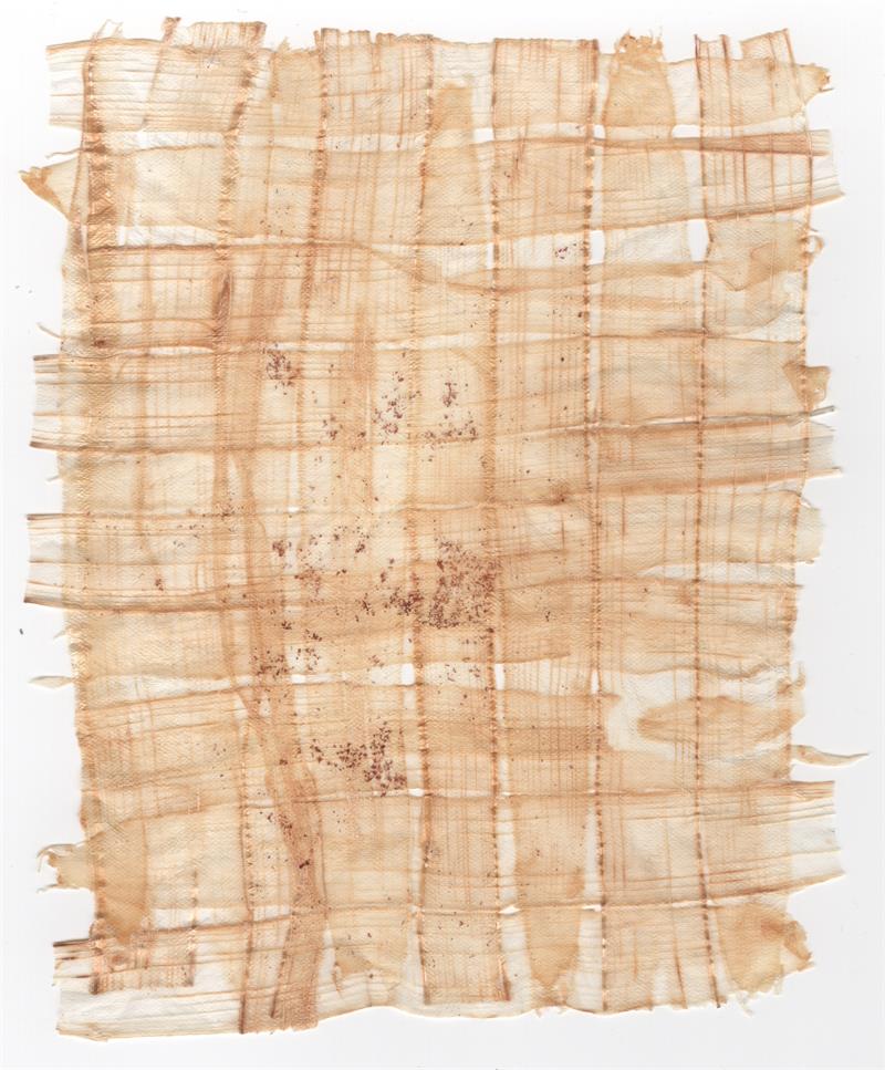 VF Papyrus - White Asparagus – Hiromi Paper, Inc.