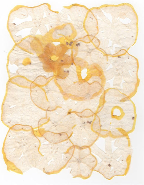 VF Papyrus - Tomato