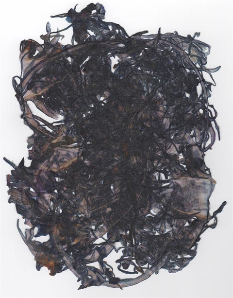 VF Papyrus- Red Cabbage