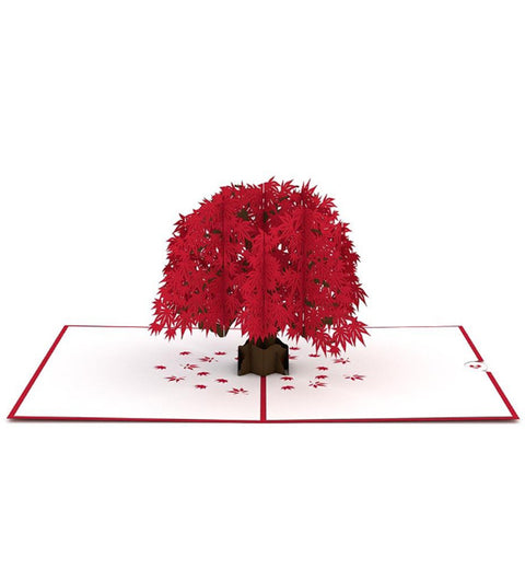 Lovepop Pop-up Card: Japanese Maple