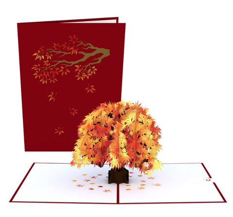 Lovepop Pop-up Card: Sugar Maple