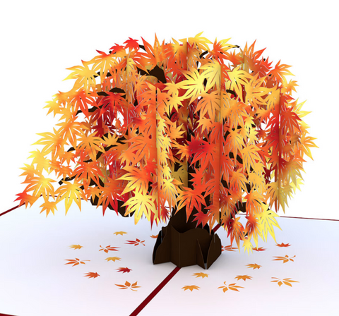 Lovepop Pop-up Card: Sugar Maple