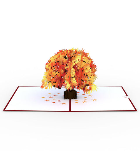 Lovepop Pop-up Card: Sugar Maple