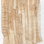 VF Papyrus - Carrot Long Cut