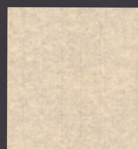 IJ-NL Niyodo Natural (50 g/m²)