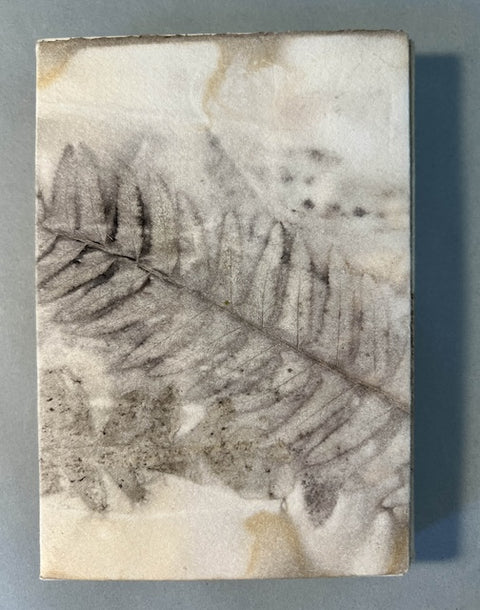 TWO-DAY WORKSHOP: Nature Printing and Bookbinding with Rebecca Chamlee