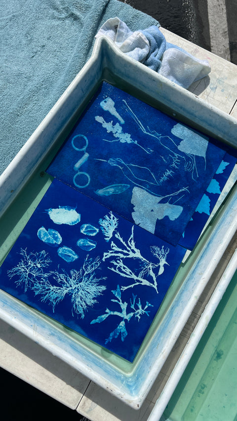 WORKSHOP: Cyanotype Workshop with May Roded