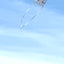 【WORKSHOP】Korean Fighter Kite Making with Yaeun Stevie Choi