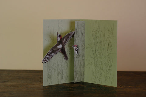 Birds Pop Up Greeting Card Series