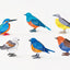 2027 Birds Calendar