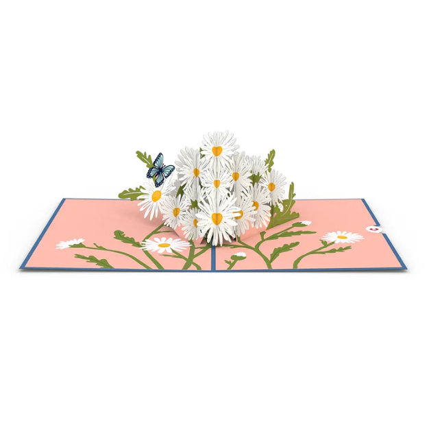 Lovepop Pop-up Card: Daisies with Blue Morpho