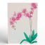 Lovepop Pop-up Card: Watercolor Orchid