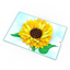 Lovepop Pop-up Card: Sunflower Bloom