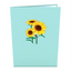 Lovepop Pop-up Card: Sunflower Bloom