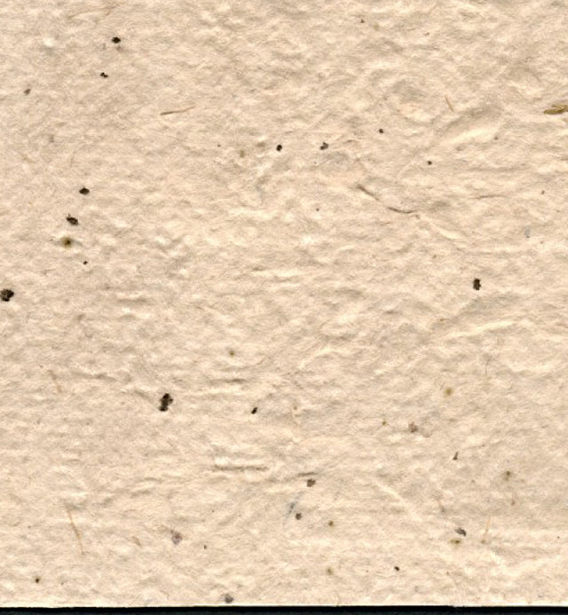 BHU-03 Bhutan Shawa Paper (180g/m²) – Hiromi Paper, Inc.